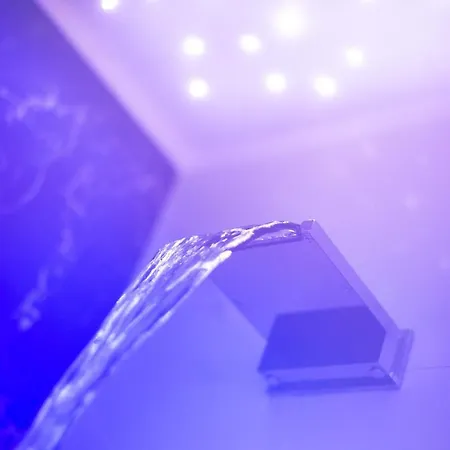 Torino Wellness & 호텔 4*